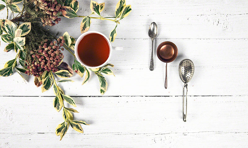 Beginner's Guide to Tea: All the Terms You Need to Know