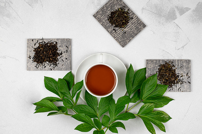 Best Teas from Indian Tea Regions