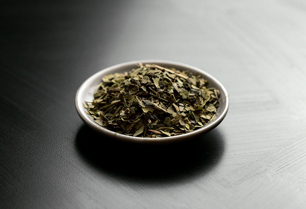 Yerba Mate vs Green Tea: Which is healthier?