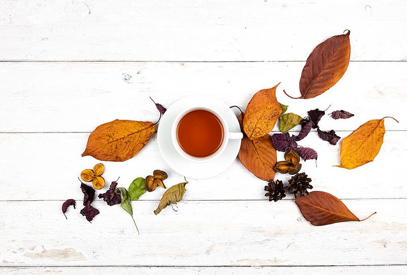 10 Seasonal Tea Flavors that Taste like Fall