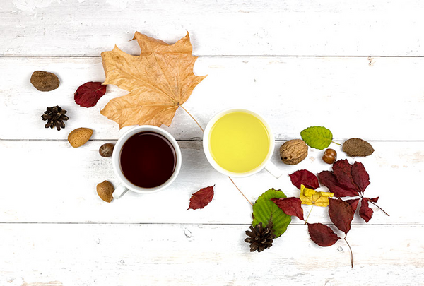 Top 10 Autumn Tea Recipes to Try this Fall